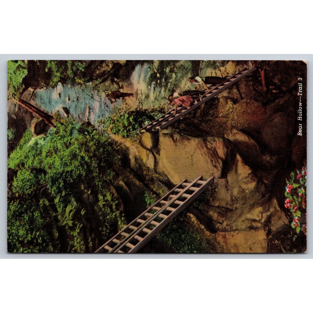 Vintage Postcard Turkey Run State Park Indiana Bear Hollow Trail 3 Ladders IN